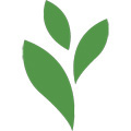 RM Online Services Logo